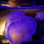 PB050174a