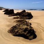 Goukamma Nature Reserve, Western Cape